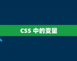 CSS 中的变量