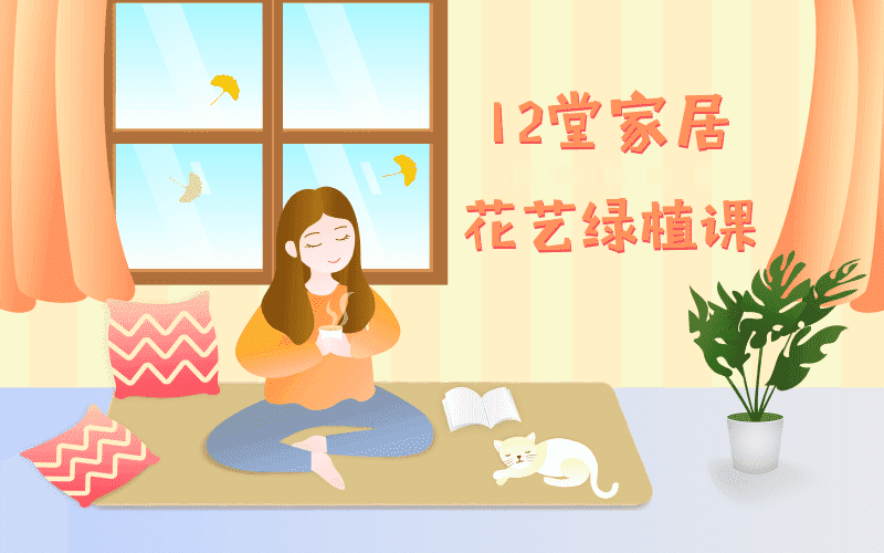 12堂家居花艺绿植课，住出好心情