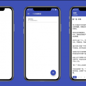 【iApp源码】前后端开源小说编辑器源码