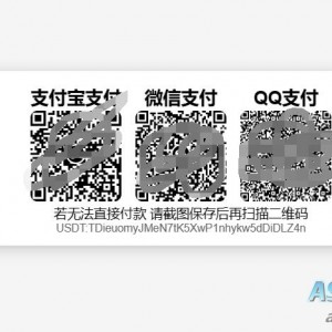 Payment Code源码实现多钱包收款码的自适应网页源码