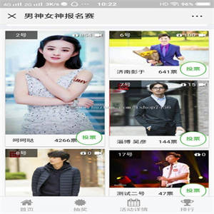 男神女神投票V5.4.11+投票工具+排名查询+短信通知+投票广告