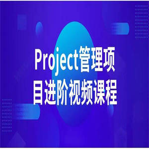 Project管理项目进阶视频课程