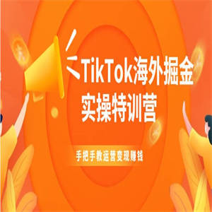 TikTok海外掘金实操特训营：手把手教运营变现赚钱