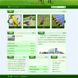 响应式绿色畜牧养殖农场网站模板