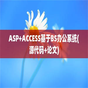 ASP+ACCESS基于BS办公系统(源代码+论文)