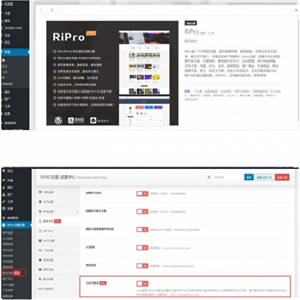 最新RiPro6.3.8素材资源下载站wordpress主题模板 完整修复+加密去后门