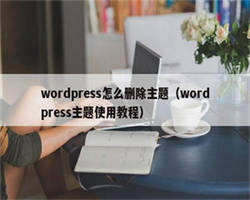 wordpress怎么删除主题（wordpress主题使用教程）