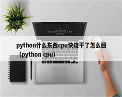 python什么东西cpu快烧干了怎么回（python cpu）