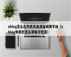 zblog怎么在列表页面添加调用字段（zblog导航栏怎么添加子栏目）