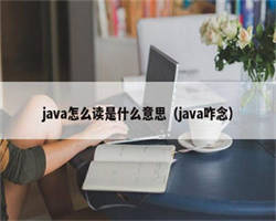 java怎么读是什么意思（java咋念）