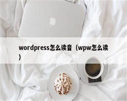 wordpress怎么读音（wpw怎么读）