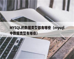 MYSQL的数据类型都有哪些（mysql中数据类型有哪些）