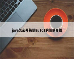 java怎么升级到8u101的简单介绍