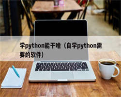 学python能干啥（自学python需要的软件）