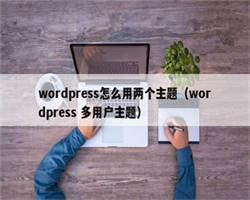 wordpress怎么用两个主题（wordpress 多用户主题）