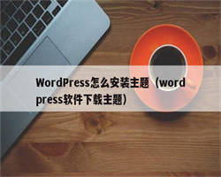 WordPress怎么安装主题（wordpress软件下载主题）