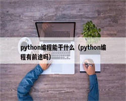 python编程能干什么（python编程有前途吗）