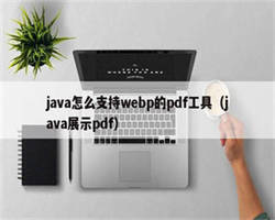 java怎么支持webp的pdf工具（java展示pdf）