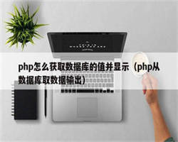 php怎么获取数据库的值并显示（php从数据库取数据输出）