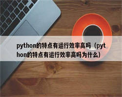 python的特点有运行效率高吗（python的特点有运行效率高吗为什么）