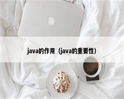 java的作用（java的重要性）