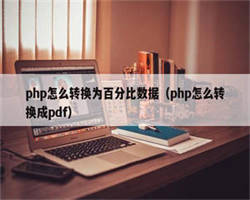 php怎么转换为百分比数据（php怎么转换成pdf）