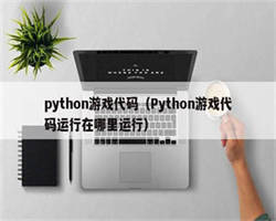 python游戏代码（Python游戏代码运行在哪里运行）