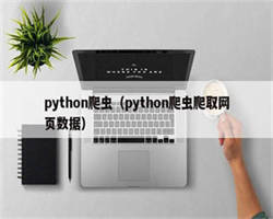 python爬虫（python爬虫爬取网页数据）