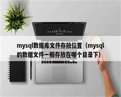 mysql数据库文件存放位置（mysql的数据文件一般存放在哪个目录下）