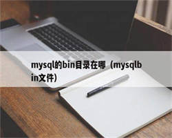 mysql的bin目录在哪（mysqlbin文件）