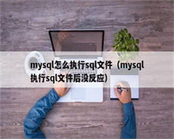 mysql怎么执行sql文件（mysql执行sql文件后没反应）