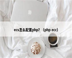 ecs怎么配置php？（php ecc）