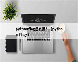 pythonflag怎么用？（python flags）