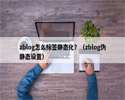 zblog怎么标签静态化？（zblog伪静态设置）