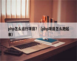 php怎么运行项目？（php项目怎么跑起来）