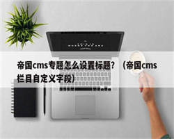 帝国cms专题怎么设置标题？（帝国cms栏目自定义字段）