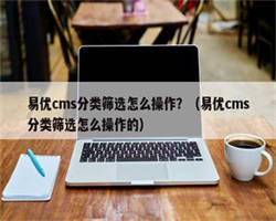 易优cms分类筛选怎么操作？（易优cms分类筛选怎么操作的）