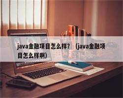 java金融项目怎么样？（java金融项目怎么样啊）