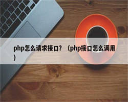 php怎么请求接口？（php接口怎么调用）