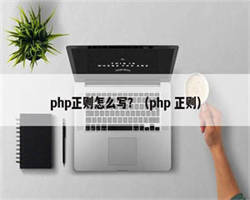 php正则怎么写？（php 正则）