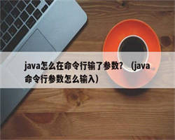 java怎么在命令行输了参数？（java命令行参数怎么输入）