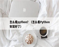 怎么看python？（怎么看Python安装好了）