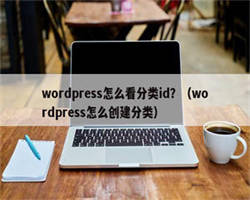 wordpress怎么看分类id？（wordpress怎么创建分类）