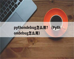 pythondebug怎么用？（Pythondebug怎么用）