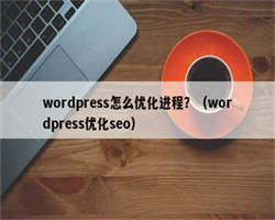 wordpress怎么优化进程？（wordpress优化seo）