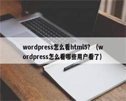 wordpress怎么看html5？（wordpress怎么看哪些用户看了）