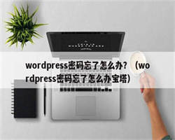 wordpress密码忘了怎么办？（wordpress密码忘了怎么办宝塔）