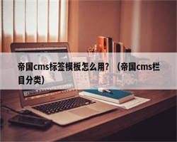 帝国cms标签模板怎么用？（帝国cms栏目分类）