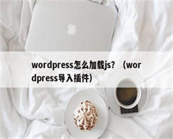 wordpress怎么加载js？（wordpress导入插件）