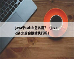 java中catch怎么用？（java catch后会继续执行吗）